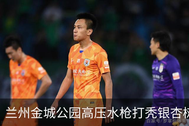 兰州金城公园高压水枪打秃银杏树，环卫公司负责人致歉：深刻检讨，两名涉事员工已停职